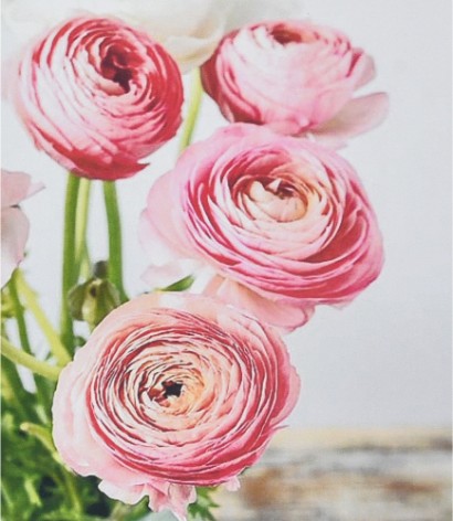 Набір для творчості алмазна картина Рожева симфонія Strateg розміром 30х40 см (HEG87059)