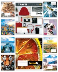 Тетрадь 36 арк.клітинка Тверда ТЕ41401 МІКС КВ1, 20 шт. в уп. /240/ 10к