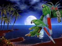 Алмазна мозаїка за номерами 40*50 