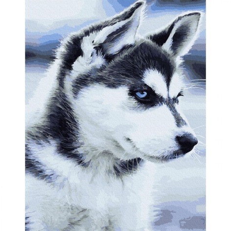 Премиум картина по номерам: Щенок Хаски