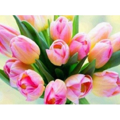 Алмазна мозаїка за номерами 30*40 