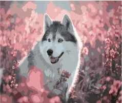 Набір для розпису по номерах Хаскі серед поля Strateg розміром 40х50 см (GS460)