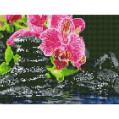 Алмазна мозаїка EJ1227