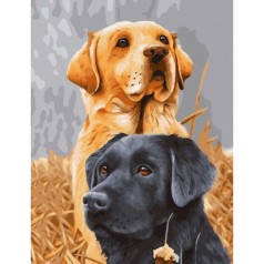 Розпис за номерами Домашні улюбленці