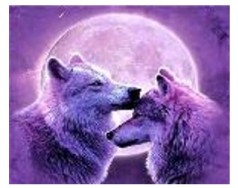 Картина по номерам "Милые волчата " 40*50см, краски акрилловые, кисть-3шт.(1*30)