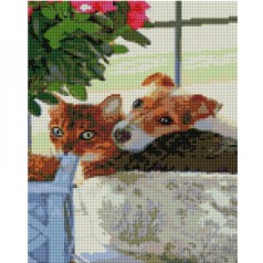 Алмазная мозаика 