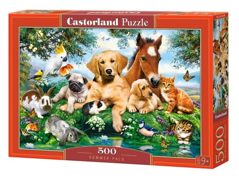 Кастор пазли 500 