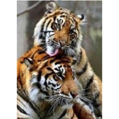 Алмазная мозаика по номерам 30*40 