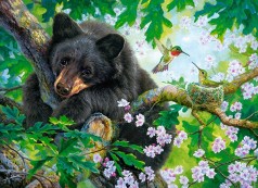 Кастор пазли 200 