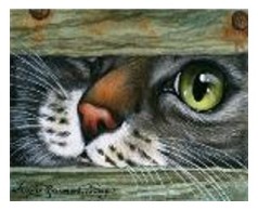 Картина по номерам "Любопытный котик " 40*50см, краски акрилловые, кисть-3шт.(1*30)