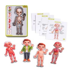 Сортер-пазл дерев'яний Анатомія людини Хлопчик Ubee ПСФ026