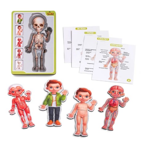 Сортер-пазл дерев'яний Анатомія людини Хлопчик Ubee ПСФ026