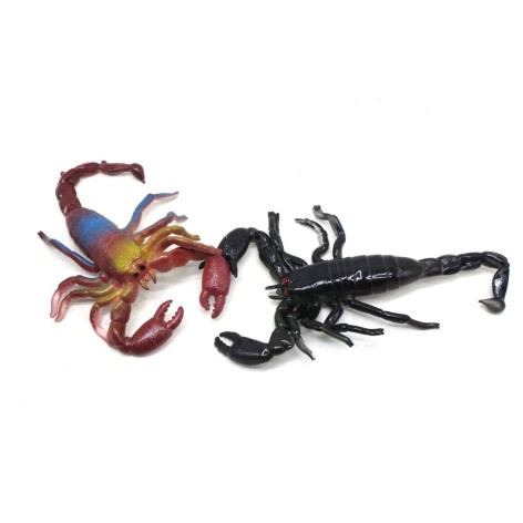 Скорпіон Кольоровий