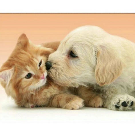 Набір для творчості алмазна картина Котик і песик Strateg розміром 30х40 см кв (HEG71467)