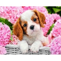 Алмазная мозаика по номерам 30*40 