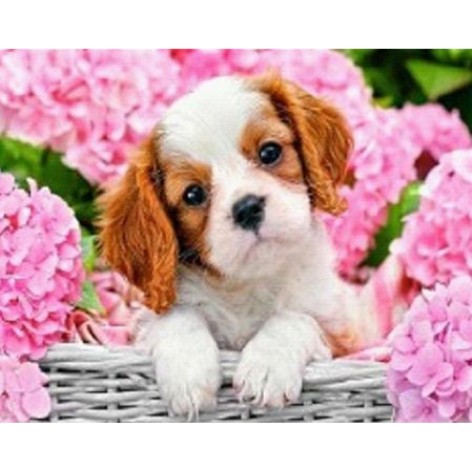 Алмазна мозаїка за номерами 30*40 