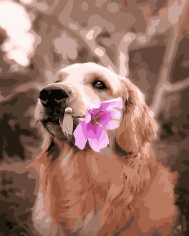 Набір для розпису по номерах Золотистий ретривер з квіткою Strateg розміром 40х50 см (GS309)