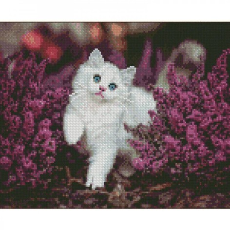 Алмазна мозаїка Білий пухнастик 30х40