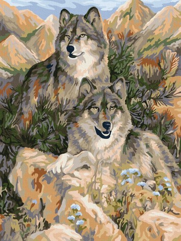 Картина по номерам "Пара волков"
