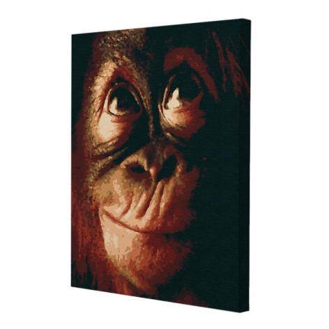 Картина по номерам Riviera Blanca Коко 40x50 см (RB-0302)