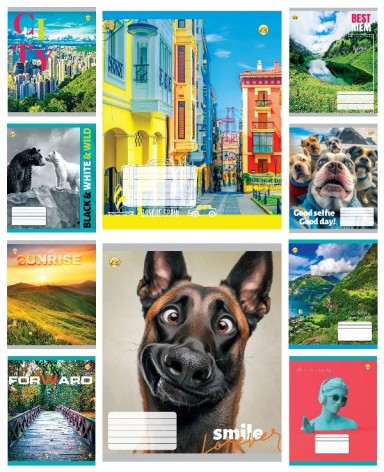 Зошит 48 арк.клітинка Тверда 51505 Мікс Універсальний 4, 10к.,10/200 ціна за 10 шт.