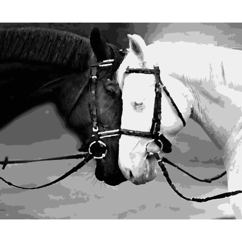 Картина за номерами 