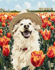 Набор для росписи 