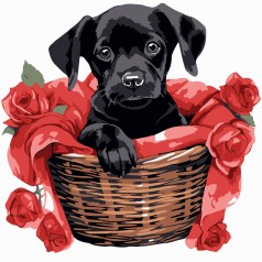 Картина за номерами Strateg 