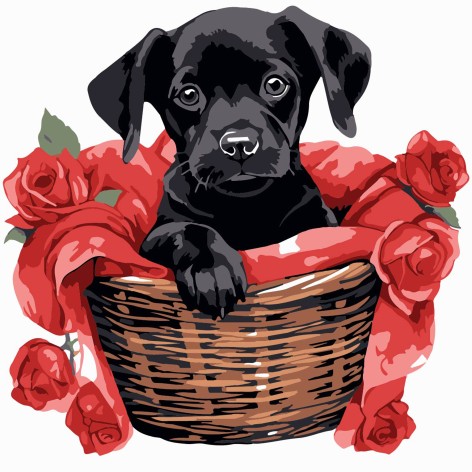 Картина за номерами Strateg 