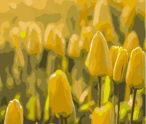 Набор для росписи по номерам Желтые тюльпаны Strateg размером 40х50 см (DY090)