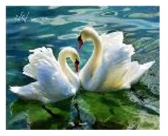 Картина по номерам "Лебеди на озере" 40*50см, краски акрилловые, кисть-3шт.(1*30)
