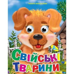 Книга Очки 