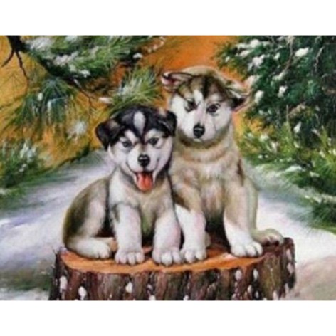 Алмазная мозаика по номерам 30*40 