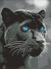 Алмазна мозаїка на підрамнику 