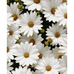 Картина за номерами 