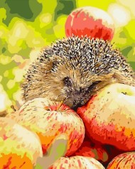 Набір для розпису по номерах Їжачок з яблуками Strateg розміром 40х50 см (GS184)