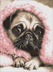 Алмазна мозаїка на підрамнику Ideyka 