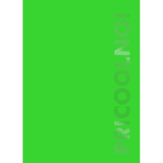 Блокнот зелений "PRICOOLNO" (128 ст)