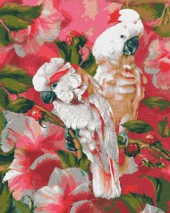 Картина по номерам Малиновая какаду (40x50) (RB-0008)
