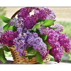 Набор для творчества алмазная картина Сирень в корзине Strateg размером 30х40 см кв (HEG85984)