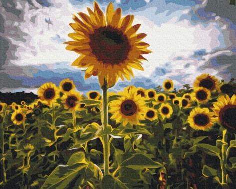 Картина за номерами: Вуличка у квітах 40*50 BS7451