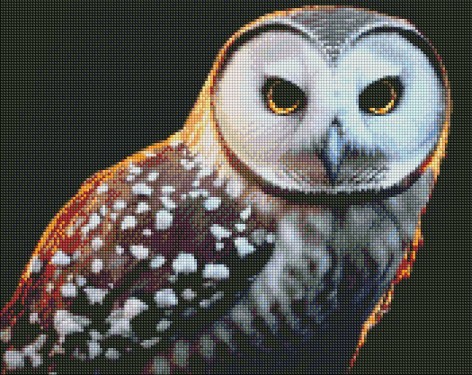 Набор с алмазной мозаикой 