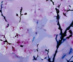 Набор для росписи по номерам Цветы сакуры Strateg размером 40х50 см (GS055)