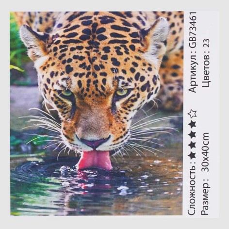 Алмазна мозаїка 