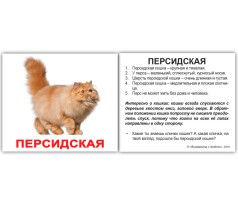 МИНИ карточки (рус.-англ.) "Породы кошек с фактами"