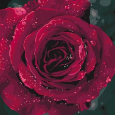 Картина по номерам Букети "Троянда " 40*40см