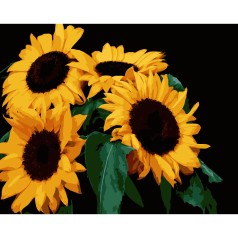 Картина по номерам Strateg 