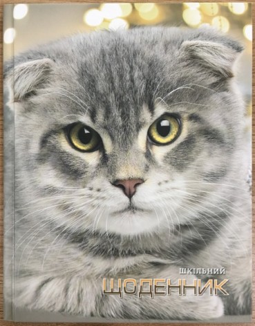 Щоденник шкільний SD1706, 165*208 мм, обкладинка 7БЦ, 40аркушів