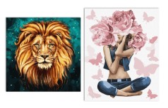 Набір для розпису по номерах KHO 40х50 та 40х40