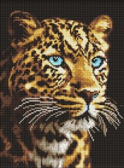 Набір з алмазною мозаїкою 